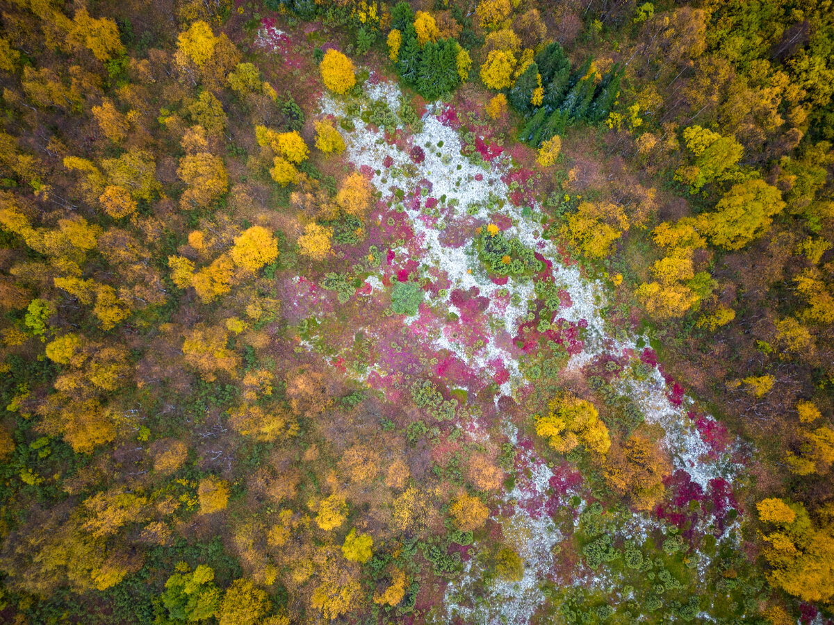 Пустозерск - осень в ненецкой тундре