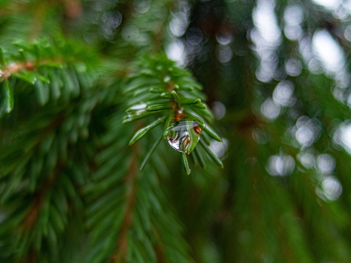 Фото А.Перелыгина