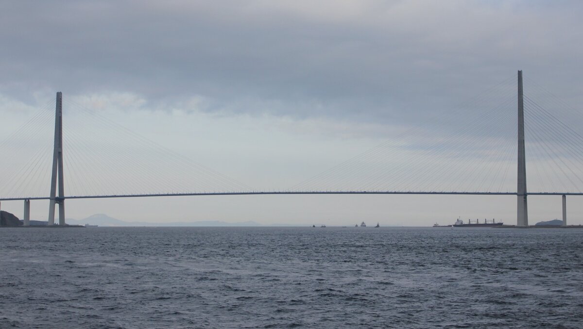     Охрану мостов во Владивостоке, в частности — Золотого и на остров Русский — усилили из-за подрыва грузового моста в Крыму. Также на особом контроле стоят пропускной и внутриобъектовый режимы.