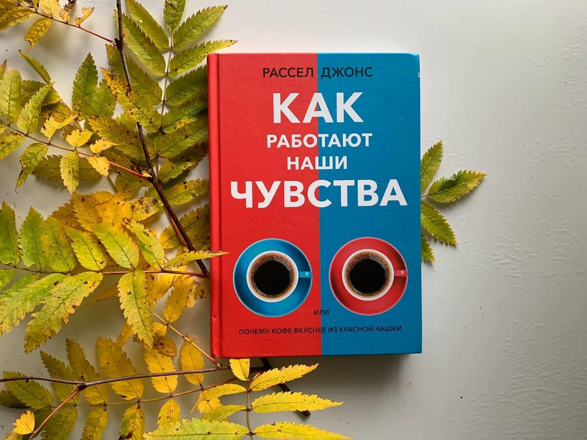 3 мифа, которые мешают нам получать удовольствие от жизни | Книжная аптека  | Дзен