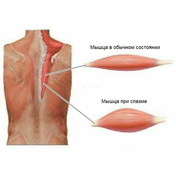 Секреты тайского массажа