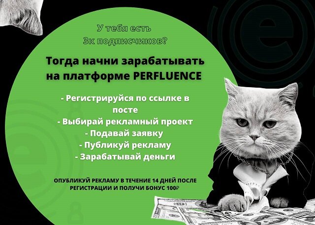 Заработок на своем блоге или в аккаунте соц сети
