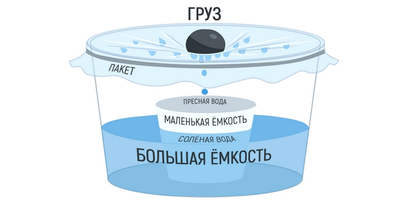 Советы от опытного путешественника: как выжить в открытом океане