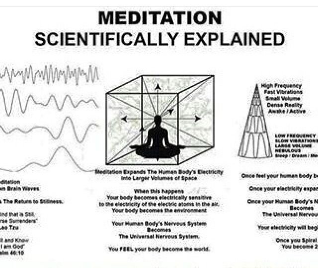 Но докажите мне что внешний вид не определяется окружающей средой. Ведь Нигроидная раса результат именно приспособления генов к определённым условиям. Она и влияет. Но она и была зачинщиком создания видом такой формы и таких способностей
Самая мельчайшая жизнь на земле это ген
Как бы мы не могли сказать что всё бог создал и я с этим согласен.. но я не стану противоречить тому что мы знаем о мире уже наверняка

Еще раз: если бы внешний вид определялся окружающей средой, то в одинаковой среде жили бы организмы одинакового внешнего вида. Но это не так, значит, среда - это даже не всё, что влияет на внешний вид, а уж тем более - не "определяет" его.


Моя идея в том.
Что этот путь эволюции от самого начального - гена до разумного - человека происходил путём приспособления. То есть ген просто перебирал все варианты.. все способы и пришёл к человеческой жизни.. итак. Ген прошёл через все этапы.. побыл всеми живыми существами рыбой гепардом птицей и пришёл к человеку.
Это не значит что организмы должны быть одинаковы в одинаковой среде.. они просто на разных этапах становления..
Также как человек это определённая ступень к становления богом.. но это там в будущем
Даже если есть пенелопа и лев в жарких местах они просто на разных этапах эволюции развития.. у них разные рефлексы гены.. разные способы получения нутриентов
Динозавры это также тот же определённый генофонд который в итоге не приспособился

хм, и кто же впереди в эволюционном процессе: антилопа (надеюсь, вы ее имели в ивду, а не Пенелопу) - или лев?
В ответ на сообщение


Уже заезженная тема что человек не имея ничего в плане телесных преимуществ на фоне животных и хижников стал ими повелевать. Так это и есть путь. Наша дорога. Как искуственный интелект. Сначала мы пробуем всё. чтобы потом прийти к одному верному варианту
Да антилопа
В ответ на сообщение

Первый в плане зачем нам первенство?
У них есть неограниченное количество возможных выборов которые могут привести их по совсему иному пути
И это уже и определяет бог


Дико заезженная и давно опровергнутая гипотеза выстраивания всех живых в одну "эволюционную" линию. Это антинаучное упрощение, не согласующееся ни с какими данными палеонтологии. Зачем такое сочинять?
В ответ на сообщение

Я не говорю про человека обезьяну
я говорю что человек это даже больше чем просто человечество
человек это ген а ген это всё живое в этом мире
итак человек это природа

Богу не надо бесконечного выбора, у него есть разумная воля.
А бог+слепой случай - это какая-то ацкая смесь, Лазарь!
В ответ на сообщение
? а мысль в чем?
В ответ на сообщение
человек - это всё живое?

Мысль в том.. что не все организмы в одинаковых условиях одинаковы
А единица жизни разумной это ген

Но это не мысль, а очевидный факт (= наблюдаемый)
А вот это уже фантазия
В ответ на сообщение

Но мне ближе факт того... чем просто сказать что всё создал бог.. ведь бог он мудрее и умнее.. и это всё код и шифр
И бог создал всё по своему подобию чтобы всё снова вернулось к нему
Итак мы познаём сами себя во всех мерностях и пространствах со всех сторон со всех ракурсов...

Это в смысле - в каждом таракане, блохе и кактусе нужно видеть прообраз человека?
В ответ на сообщение

Нет единое начало, единый источник всего живого
у всего одно начало и один конец. Другими словами
Из праха пришли и в прах уйдём.
Вышли из бесконечного в конечное и вернёмся в конечное

свежая мысль...
В ответ на сообщение

Вышли из безформенности в форменность и вернёмся в безформенность 

= человек не обладает бытием, а лишь бывает в мире

И так у всего живого.. это путь эволюции в итоге стать богом.. и такой путь у всего.. это закон, это ход вещей.
Он один для всего

а вот насчет ВСЕГО и закона всех вещей вы откуда знаете?

Вопрос хороший и естественно я не смогу опровергнуть что это выдумка

да и про эволюцию до бога - тоже как-то сомнительно

Но.. совсем скоро мы узнаем это
А я с улыбкой на это в конечном итоге посмотрю

ну, если просто выдумка, фантазия и мечта - то конечно, можно мечтать

Та самая эволюция в одно мгновение
В ответ на сообщение

когда в рай попадем?)
В ответ на сообщение
не выдержали, Сергей?))
В ответ на сообщение

....
У меня другое представление во превых скоро понятие относительно времени
Во вторых ад и рай это на земле

Есть немного
В ответ на сообщение

Просто я вижу алгоритмы мира

Ну, Лазарь, давайте поговорим о времени. Вы давно намекаете на заинтересованность в этой теме, и я давно ею интересуюсь, рано или поздно нам нужно выяснить позиции.
Но вам придется написать развернуто своё понимание и времени, и проблемы времени, и концептуализаций времени, которые вы принимаете и которые отвергаете

И просчитываю что будет далее исходя из того каков закон
А закон что всё должно прийти в одно единое
то есть в бога
а там где целостность и целая картина мира там истина
Значит религия наука исскуство сойдутся в одно целое

Лучше говорить: я думаю, что вижу... Или "я чувствую, что вижу". Так безопаснее высказываться
В ответ на сообщение
Это тоже не то чтобы очень свежая идея. У вас полно единомышленников в истории философии
В ответ на сообщение

Я знаю что уже это говорили
Но это говорили люди которые также видят эти закономерности
куда всё идёт
Это ход вещей. Закон не человеком писан

проблема в том, что это не единственное видение
и законы, обнаруживаемые в мире, весьма разнородны

Мне интересное альтернативное видение если сможете расскажите
что то вроде пессимизма что весь мир катится в пропасть?

А как же Гугл вам в помощь ?
В ответ на сообщение
не обязательно пропасть, просто энтропия, хаос
В ответ на сообщение
как вам нравится: из хаоса вышли, туда и вернется всё

Ну это не ново это древний египет

ничто не ново в этом стареньком мире

Хаос это то что по мнению человека не поддаётся порядку.. логически не поддаётся человеку как порядок в то время как для бога с его ракурса это может быть порядком чистейшей воды..
Вместо того чтобы стараться мыслить как бог люди пытаются затмить его
Что мы знаем собственно о порядке..
мне кажется лишь малую часть

А мне кажется, Лазарь, у вас нет понятия о хаосе и порядке. Уже более полувека это вполне осмысленные и научно обоснованные категории, а не то, что кому-то чем-то "кажется"

Вы не сможете отрицать что вполне вероятно может быть хаос для нас - порядок для бога

Не думаю, что для Бога имеют смысл такие понятия
А еще точнее - не считаю для себя возможным "думать" как бог. Я думаю, что думать - это человеческая судьба, а Бог - Он просто знает

Ну значит все таки порядок слово придуманные человек и имеет отношение только к его восприятию действительности
Мыслить как бог

нет, не значит. Люди не "придумали" язык для выражения своих "восприятий"
В ответ на сообщение

А как язык появился если его не придумали?

В данном случае соглашусь с Еленой Николаевной. Бог просто знает и думает. Мы лишь думаем и размышляем. Людей много чего блокирует, до пробуждения. Знать и мыслить это высшее качество. А просто мыслить может каждый

Как может что то проявится в материи без пребывания в этапе "до" идее 
Бог просто знает но..
Кто придумал то все это?
Законы которые вокруг
Откуда тогда если бог не мыслит

Пути Богов не исповедимы. Заметь, я сказала, что он мыслит и знает - это высшее сочетание 

Лазарь, вы требуете подчинения Бога логике и эволюции?
В ответ на сообщение

Не требую и логики я ни от кого не требую но эволюцию да..
А бог он создал законы
Разумность да хорошая вещь