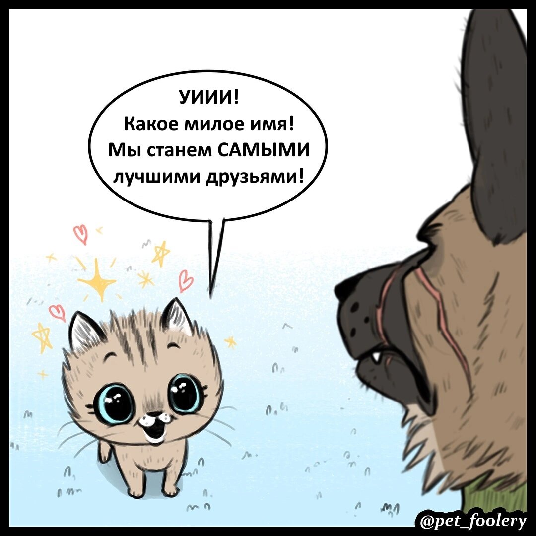 Комикс про котёнка Пикси и пса брута