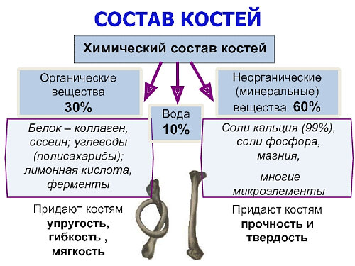 Чтобы улучшить прочность и гибкость костей, употреблять с пищей достаточное количество макро и микронутриентов