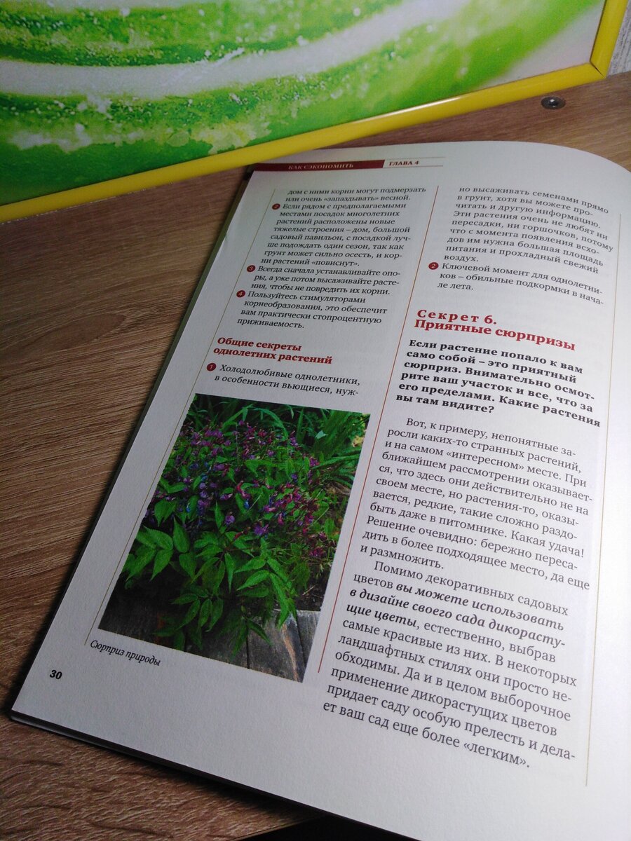 Отрывок из книги Ольги Вороновой