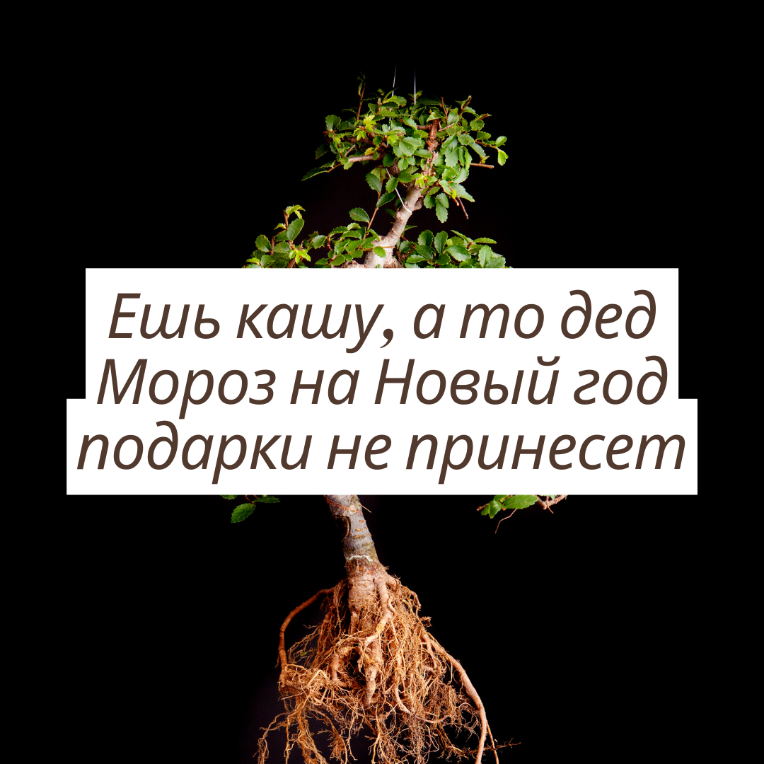 Ешь кашу, а то дед Мороз на Новый год подарки не принесет