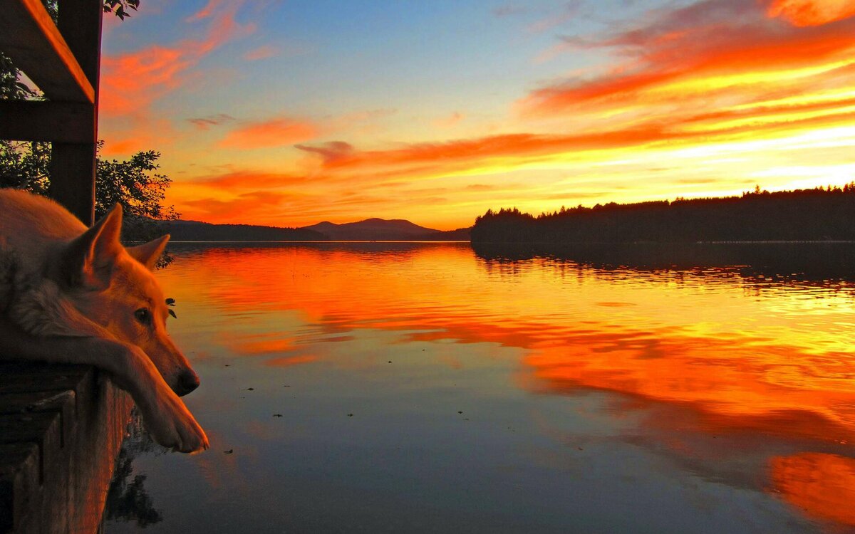 Сколько бы не было лет - это самый подходящий возраст, чтобы мечтать и радоваться жизни. Фото с сайта https://fonwall.ru/