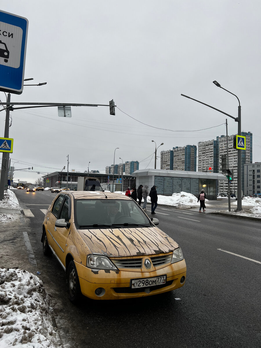 Бомбическое такси-зебра))) Уже не первый год тут тусит.