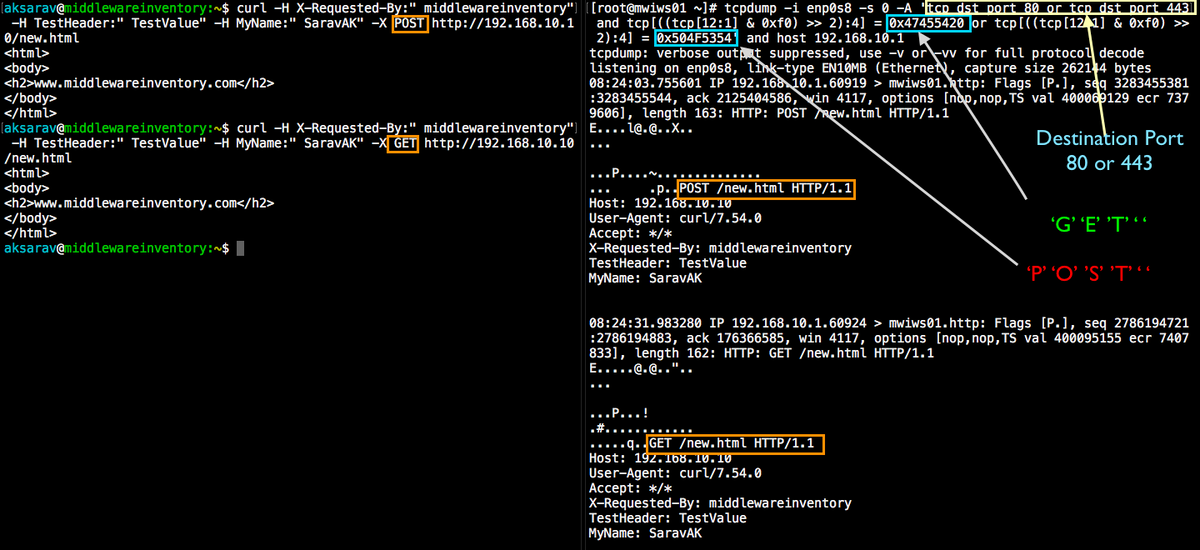 Send curl request. Curl запрос с параметрами. Curl Command. Curl get. Curl user agent
