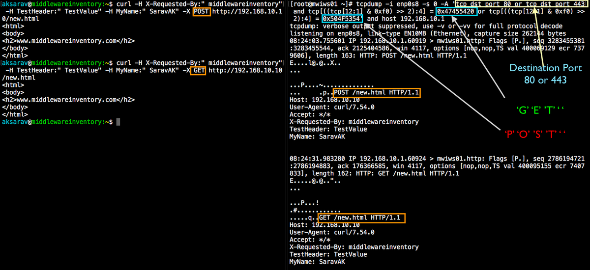 Curl get https