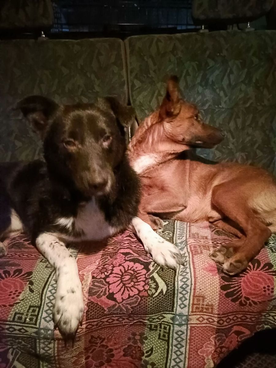 едем на стерилку