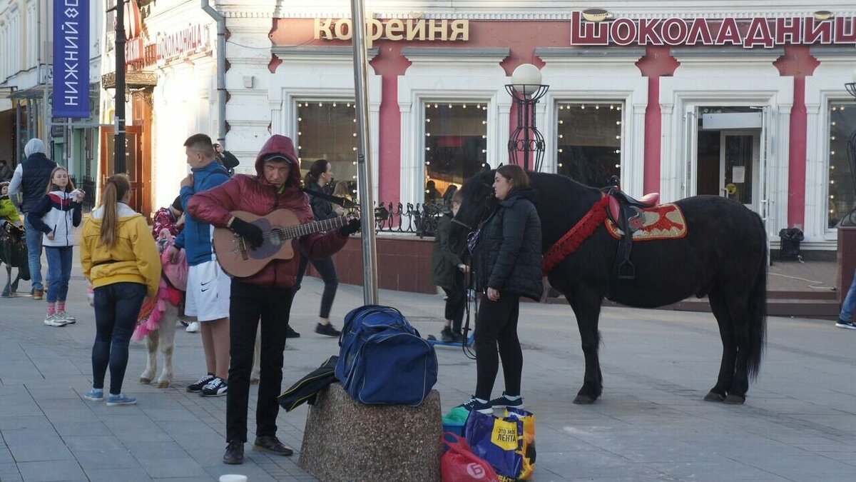     Жители Нижнего Новгорода заступились за уличных музыкантов и попросили оставить их в покое. Такие результаты были получены в ходе проведения опроса, который организовал спикер ЗСНО Евгений Люлин.