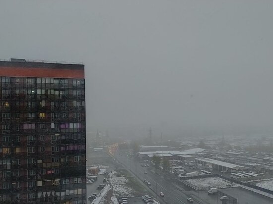     Фото: Елена Балуева / МК в Новосибирске