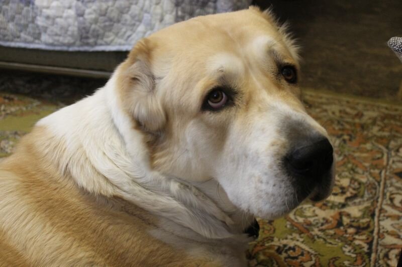 это не больно?