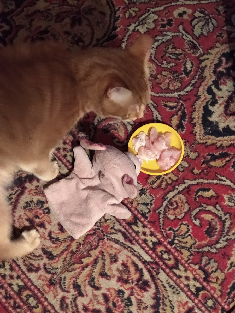 Личное  фото. 