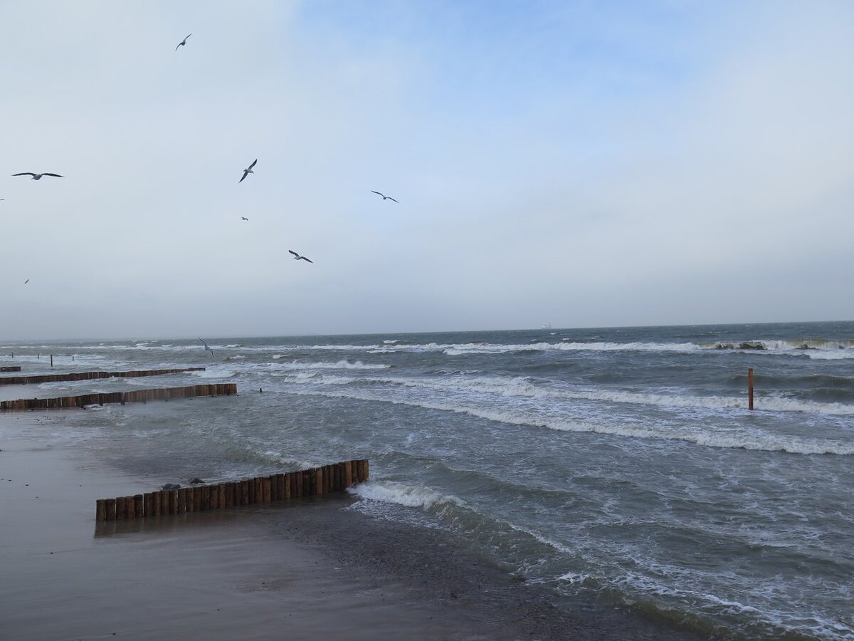 Вода в зеленоградске сегодня балтийском море. Балтийское море Зеленоградск. Балтийское море зимой Зеленоградск. Зеленоградск пляж. Большие волны в Зеленоградске.