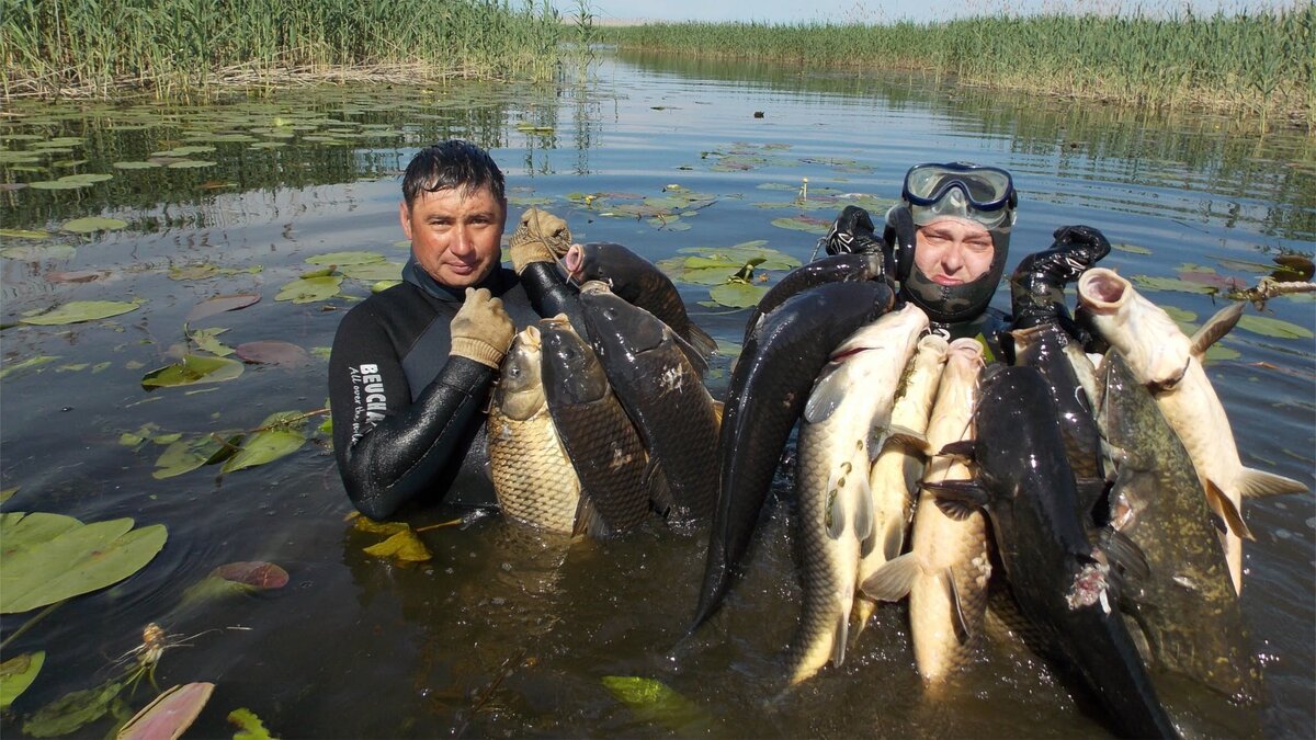 Подводная охота на Волге