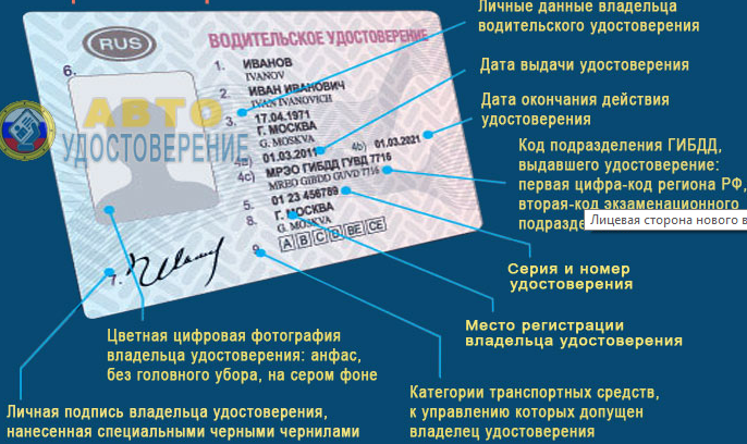 Расшифровка водительского удостоверения. Расшифровка прав россии