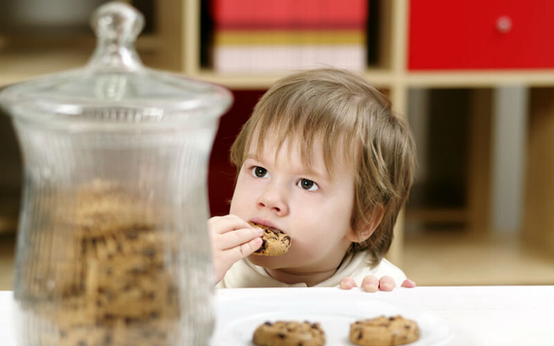 Почему дети едят ночью. Ребенок кушает печенье. Человек ест печенье. Человек ест печенье дети.