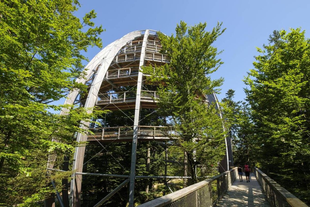 Баварский лес тоже предлагает своим посетителям прогулку в кронах деревьев. Так же можно подняться в 44 метровую башню и насладить видом оттуда.