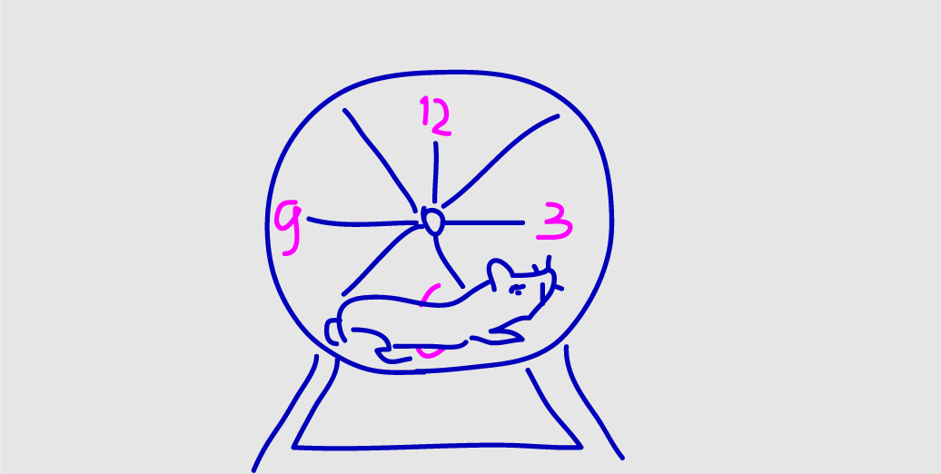 Хомячье колесо учебы