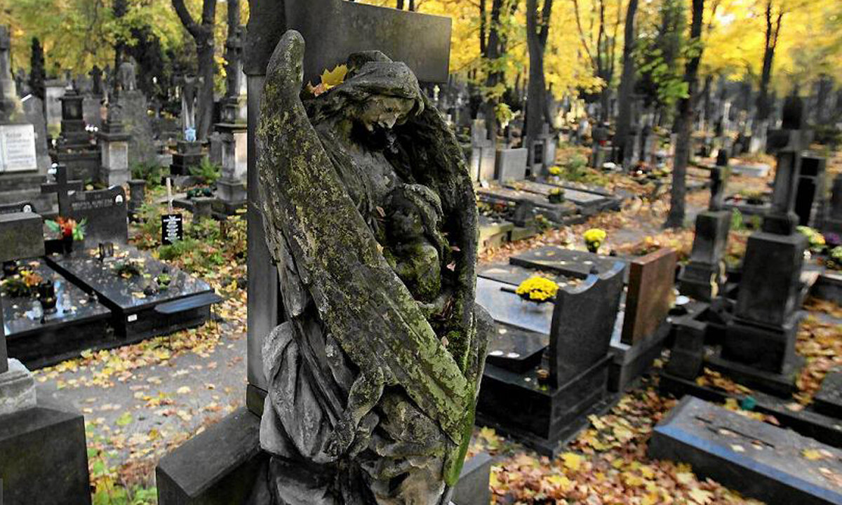 это кладбище надежд кладбище кошмаров. музыка кладбище. музыка кладбище. гринцингское кладбище. Meet you at the graveyard.