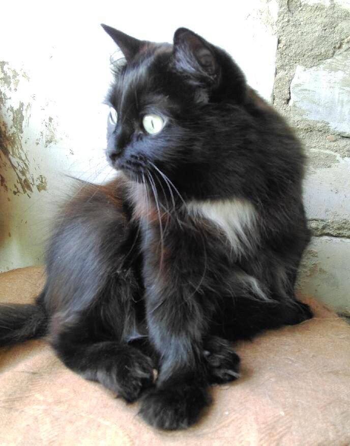 Да неужели? Обоснуй!