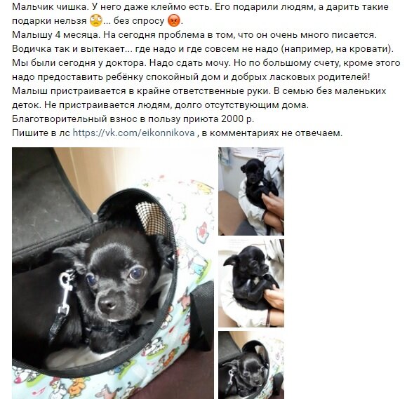Этот малыш уже в номом доме, все плохое позади
