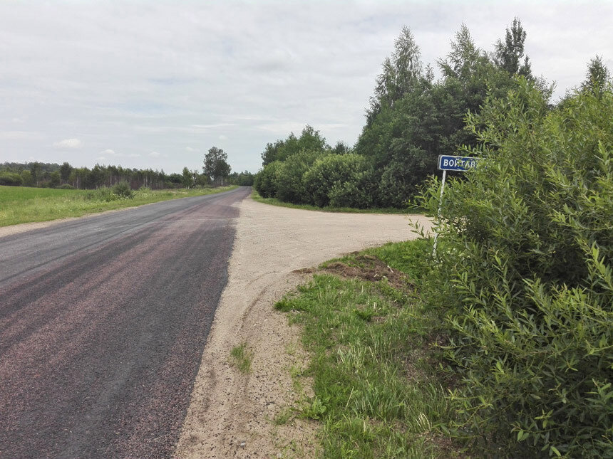 Опасность кустов и деревьев на обочине дороги