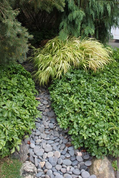 Скрытие "истока" сухого ручья