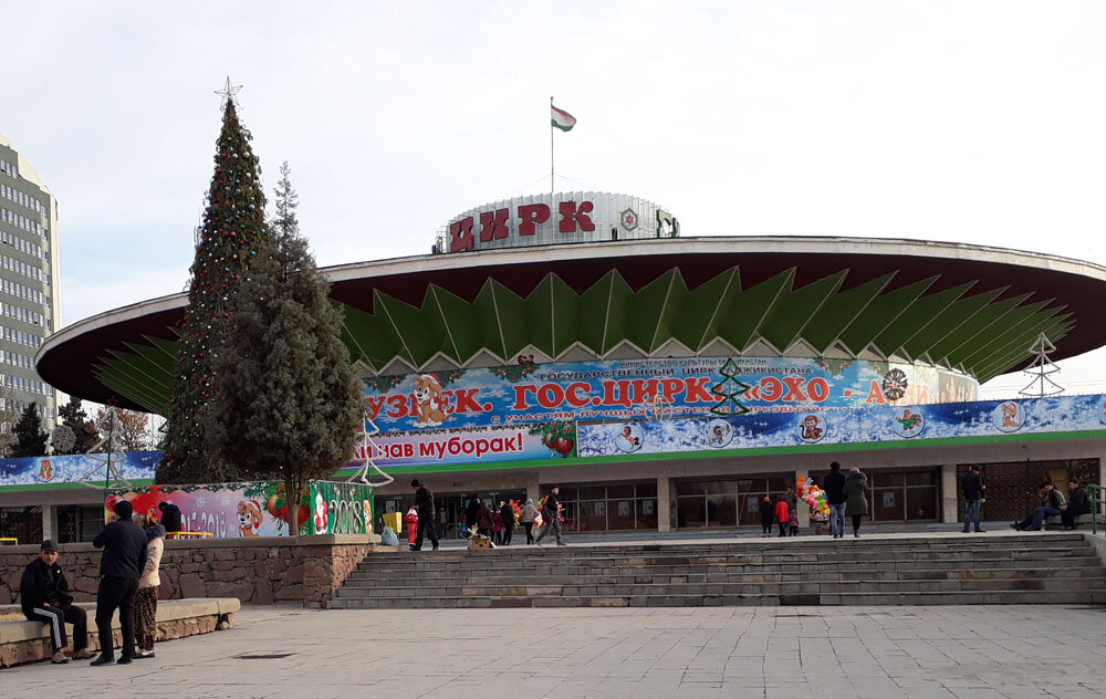 Ёлка пройдет по традиции в столичном цирке. Фото: Радио Озоди