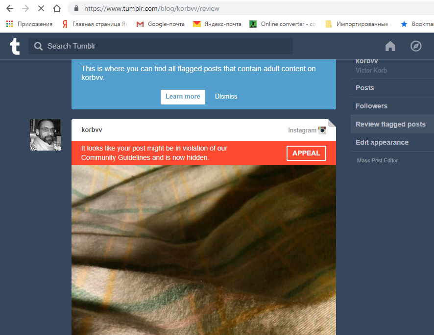 Скриншот уведомления о возможном нарушении правил сервиса Tumblr
