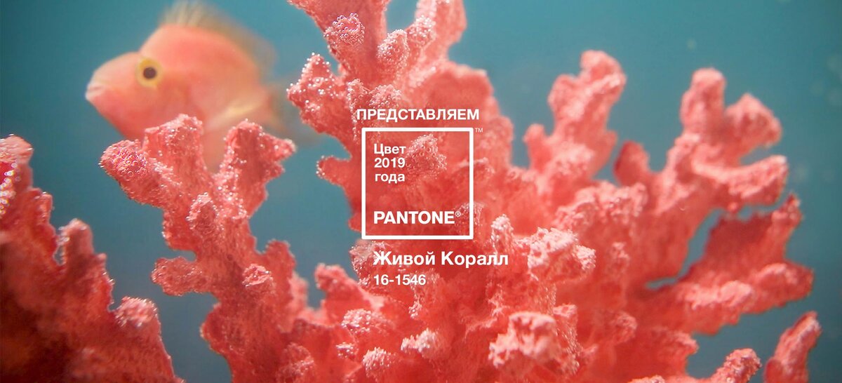 Жизнеутверждающий коралловый оттенок с естественной мягкостью заряжает энергией и добавляет сил. - так утверждает официальный сайт института цвета. 