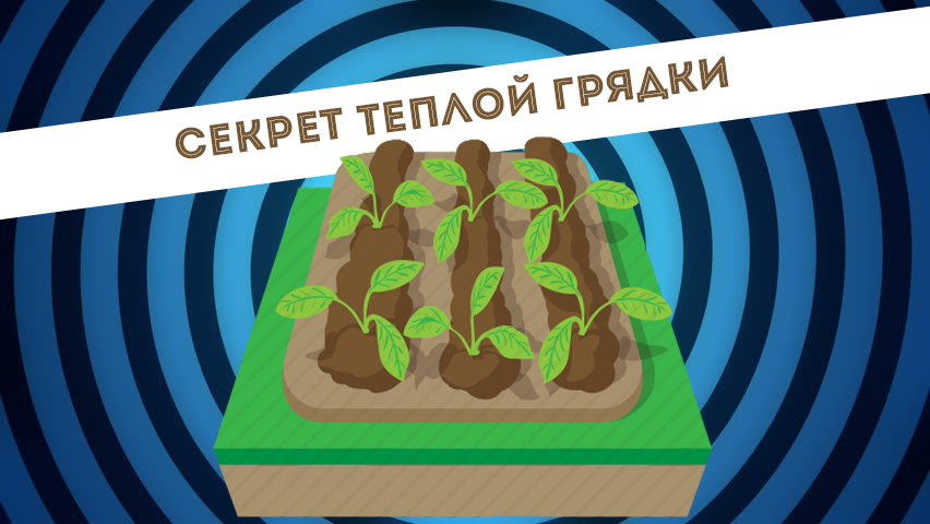 Иллюстрация собственного производства