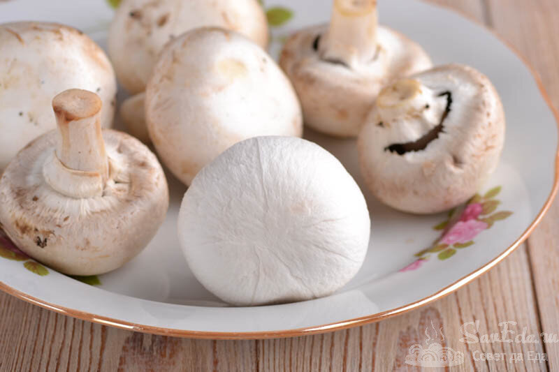 Как правильно чистить грибы шампиньоны. Как мыть шампиньоны. Очищенные шампиньоны. Очищенные шампиньоны. Как мыть шампиньоны.