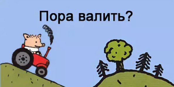 фото с сайта https://zzackon.ru