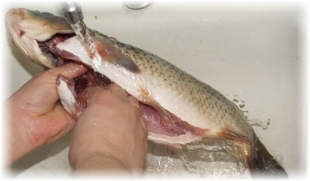 Как правильно сушить речную и морскую рыбу в домашних условиях