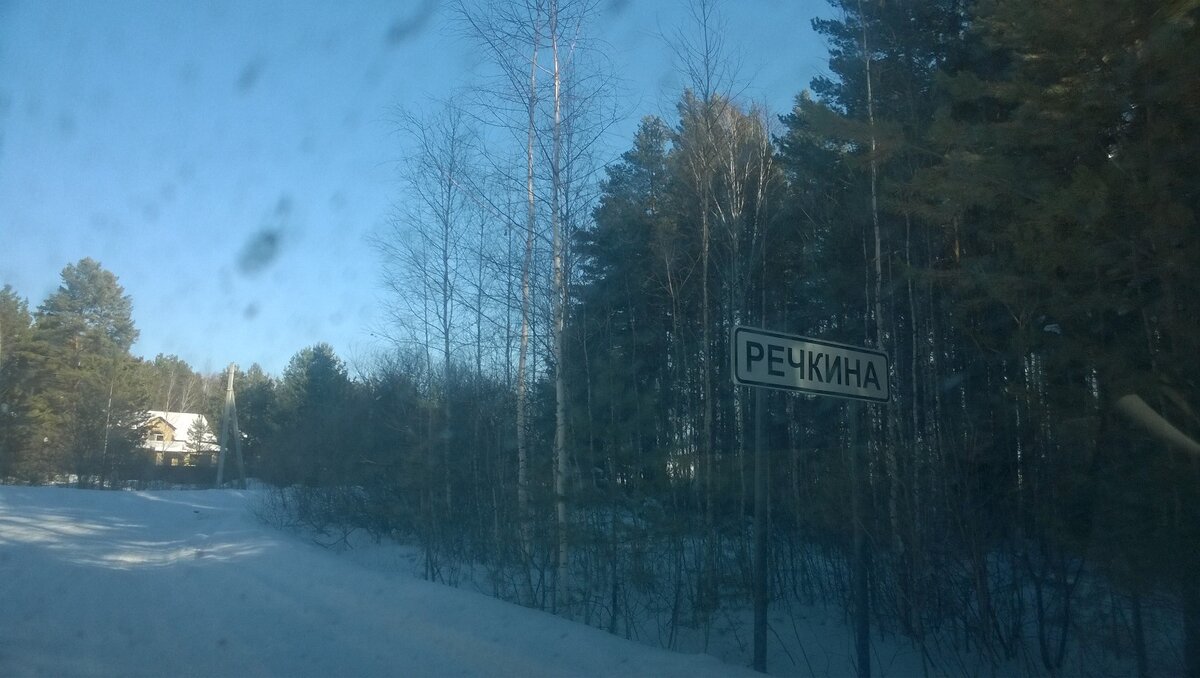 Въезд в деревню через хвойный лес