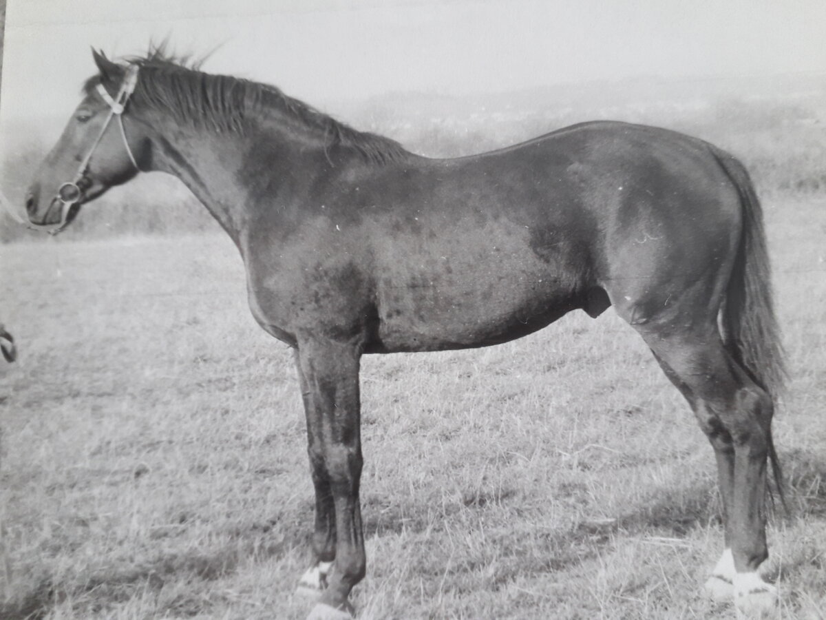 Фото из частных коллекций