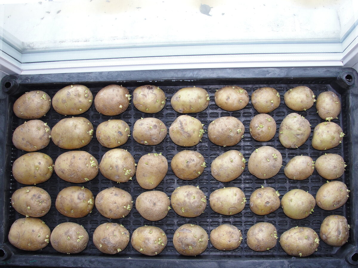 Фото сделано 23 марта 2019 года