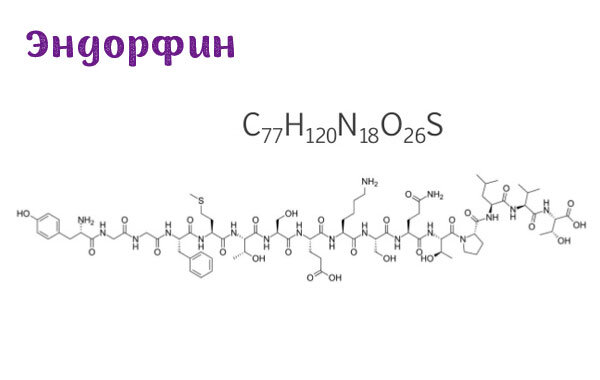 Эндорфин - гормон счастья? Не совсем. Что повышает уровень эндорфина