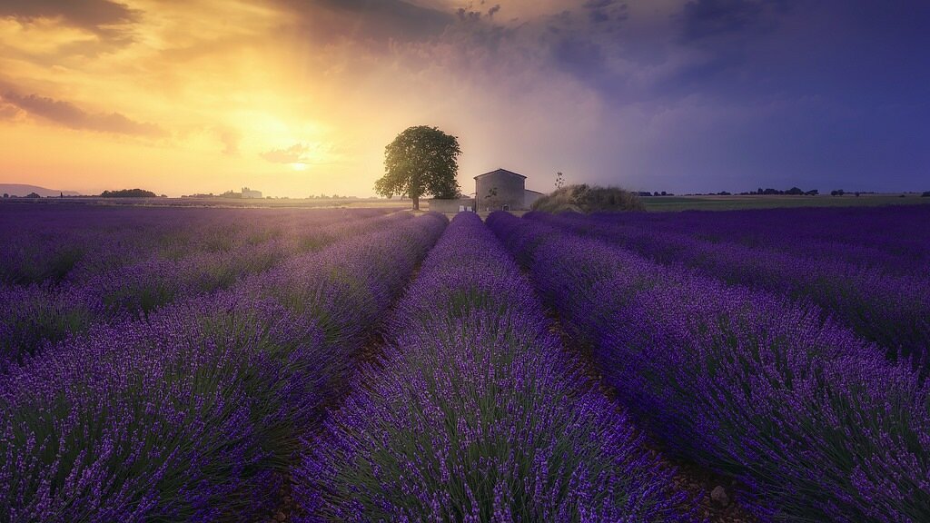  По данным Всемирной туристической организации (UWNTO), в 2018 году по миру путешествовало 1,4 млрд человек (+5,6% больше, чем в 2017 году). Более 60% глобального мирового турпотока приходилось на 20 государств.