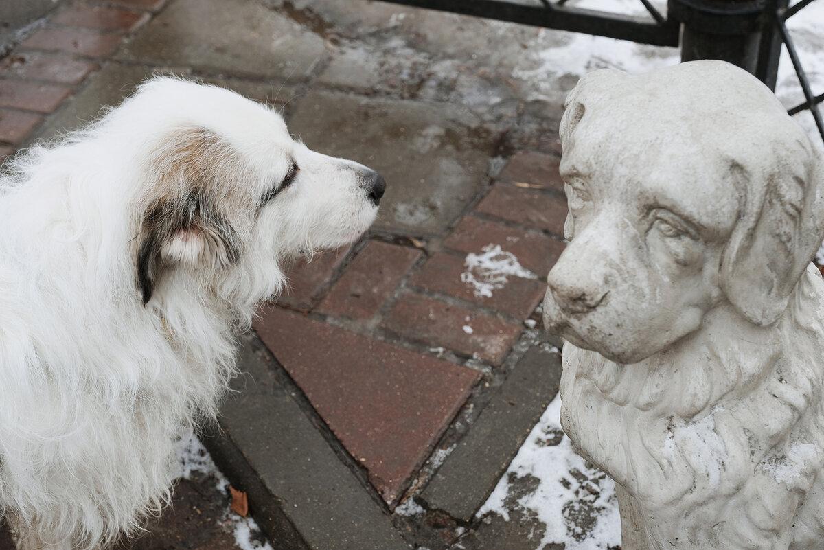 Фото: Настя Пожидаева