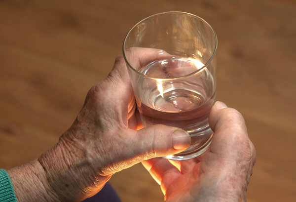 Схематичное изображение слюнной железы