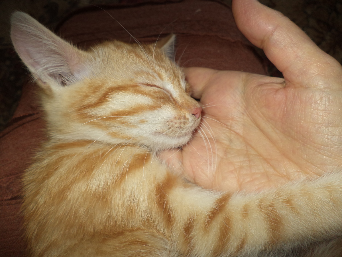 Я и Та, у которой я...