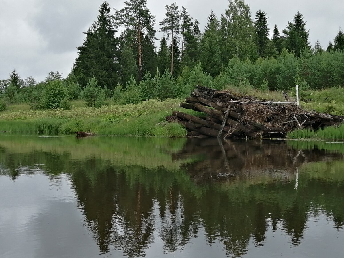 река унжа по костромской области