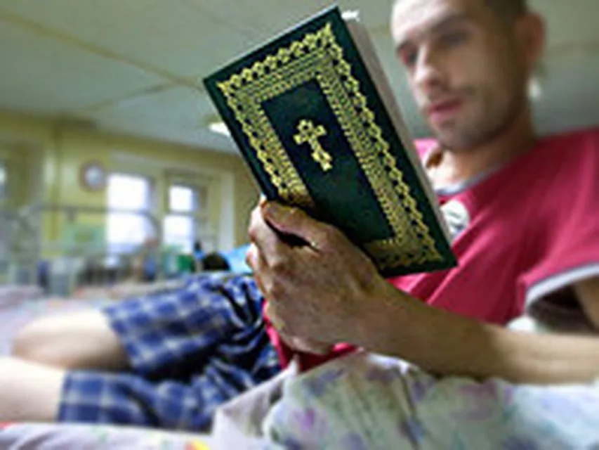 Фото Яндекс Картинки