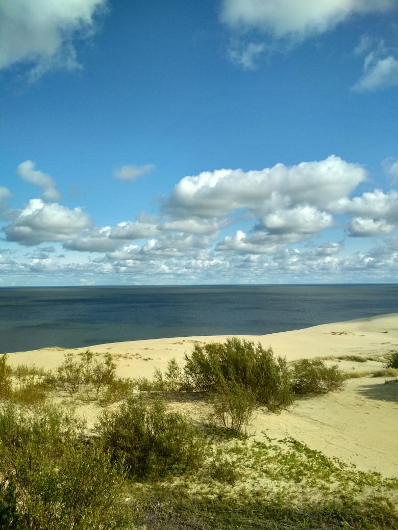 Куршская коса естественный природный егэ. Балтийское море Куршская коса. Мыс Восточный Куршская коса. Куршская коса национальный парк. Озеро лебедь Куршская.